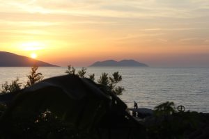 Gallery Thumbnail 6